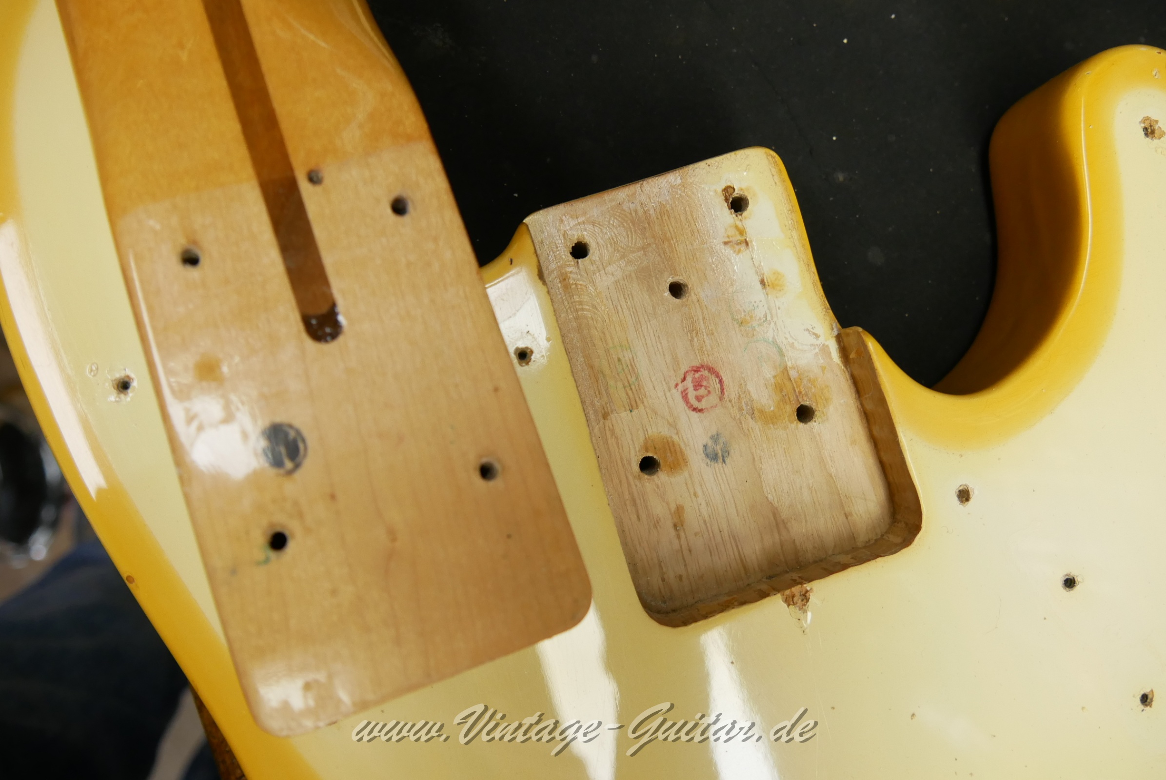 Fender_telecaster_bass_blonde_baujahr_1970_USA-013.JPG