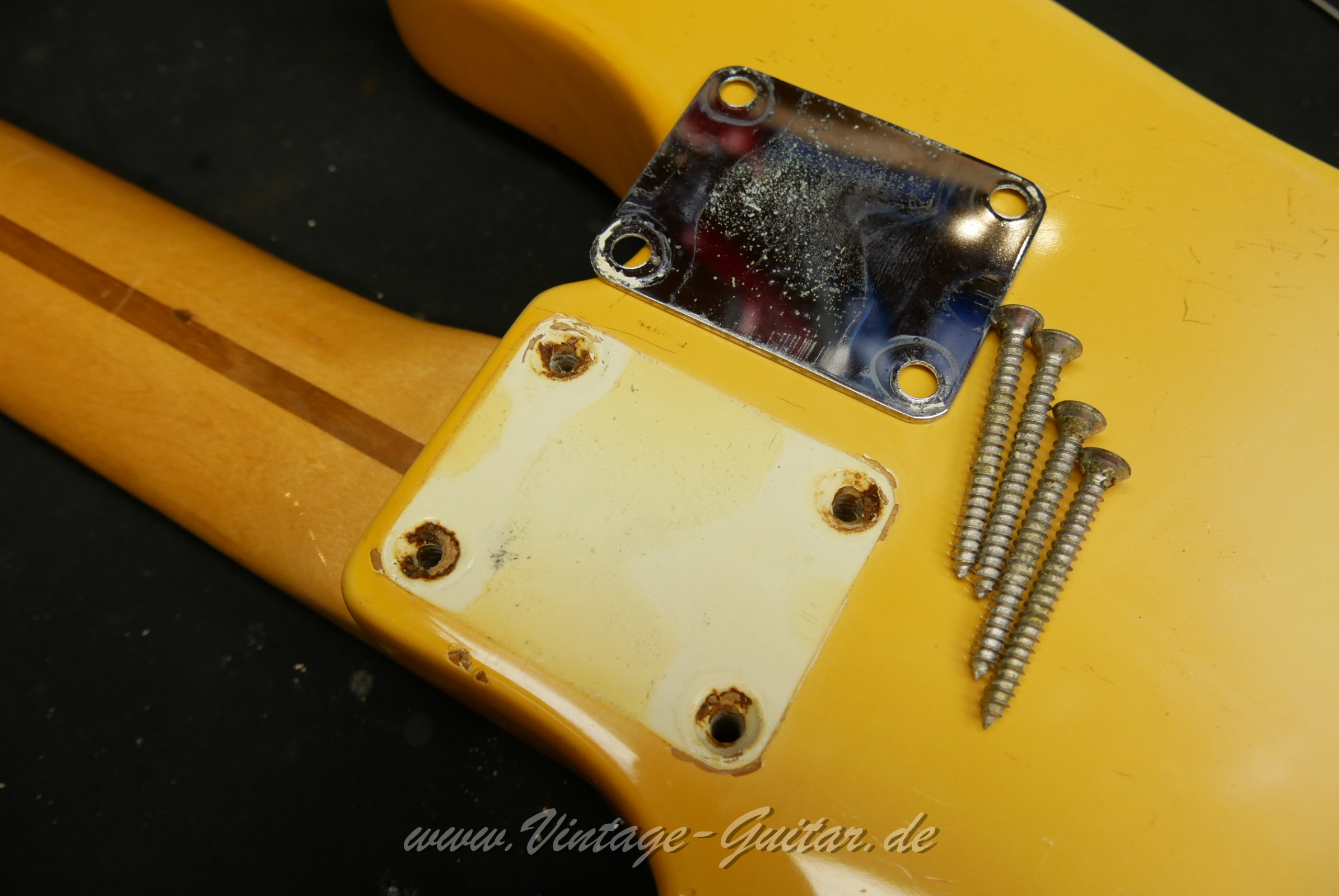 Fender_telecaster_bass_blonde_baujahr_1970_USA-014.JPG