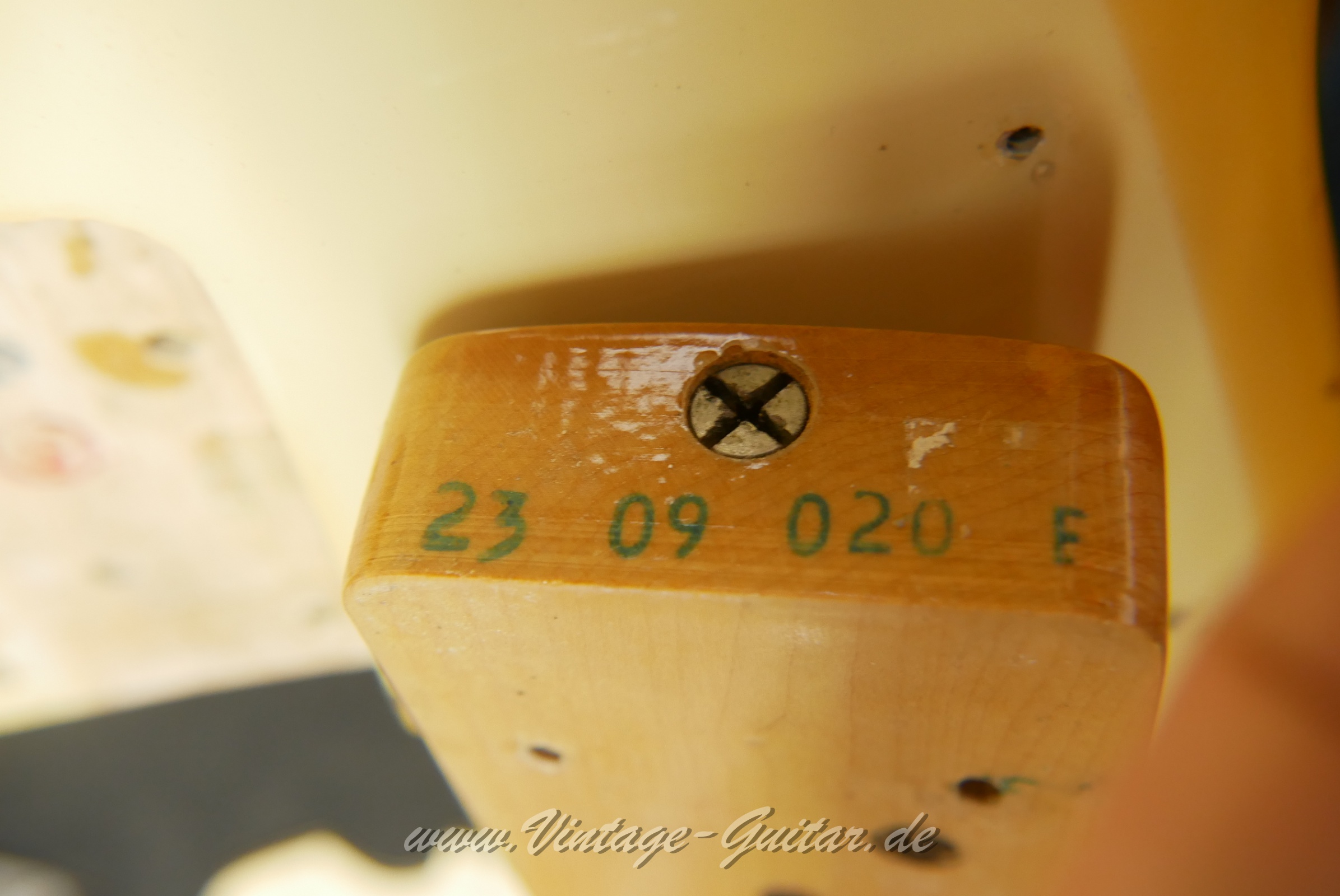Fender_telecaster_bass_blonde_baujahr_1970_USA-016.JPG