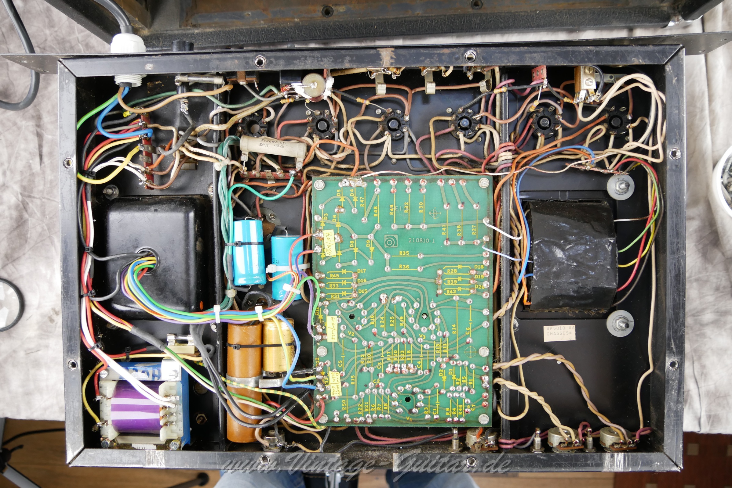 Ampeg_SVT_1973_USA_blacktolex_300W-09.jpg