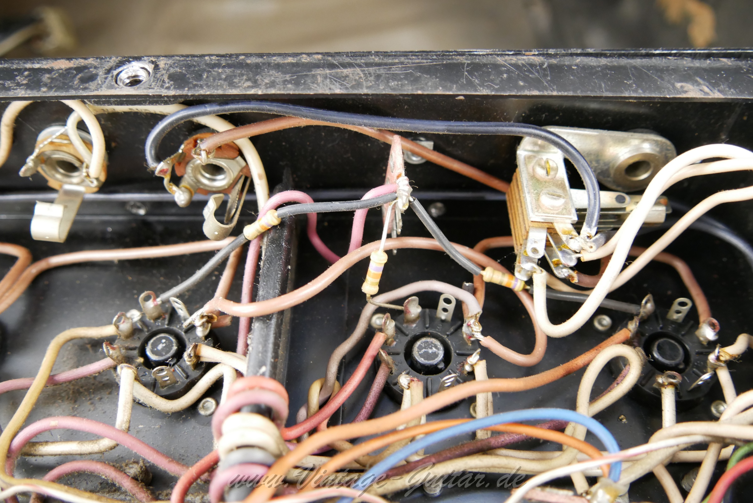 Ampeg_SVT_1973_USA_blacktolex_300W-15.jpg