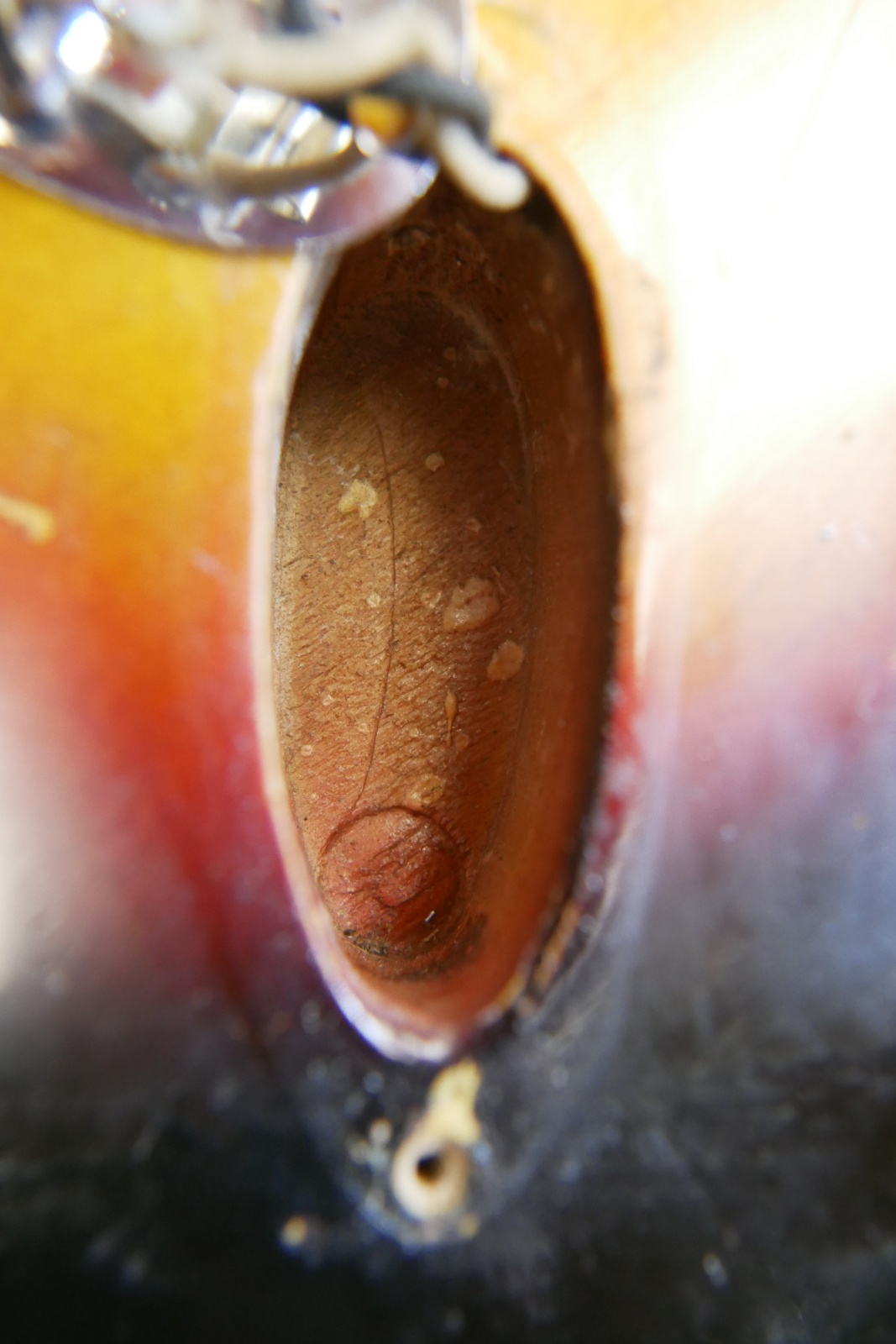 img/vintage/5899/Fender_Stratocaster_1964_pre_CBS_sunburst-031.JPG
