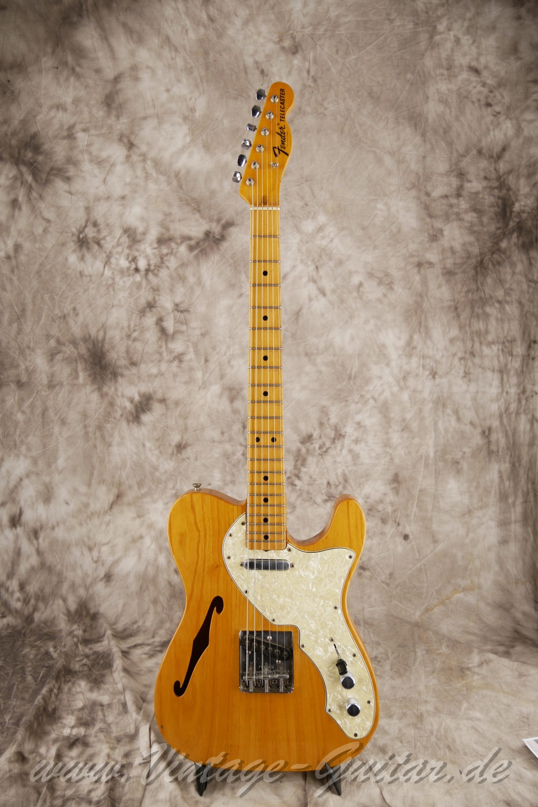 Fender_telecaster_thinline_natural_1969_USA-01.jpg