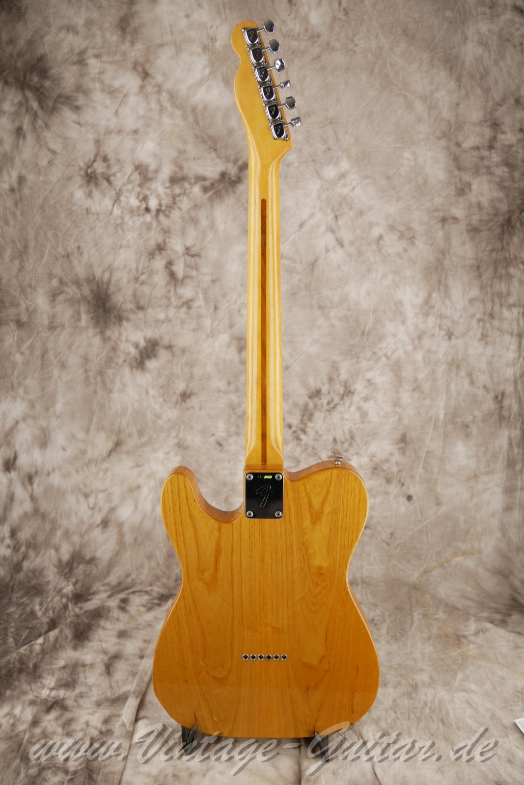 img/vintage/5905/Fender_telecaster_thinline_natural_1969_USA-02.jpg