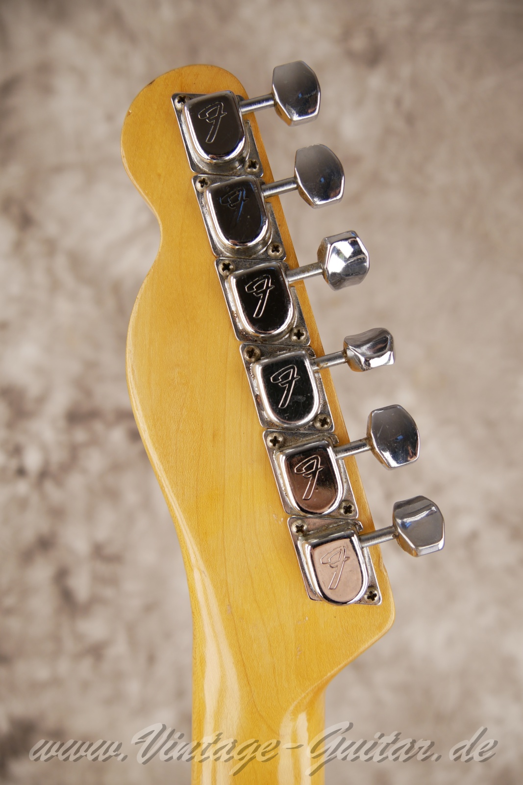 img/vintage/5905/Fender_telecaster_thinline_natural_1969_USA-04.jpg