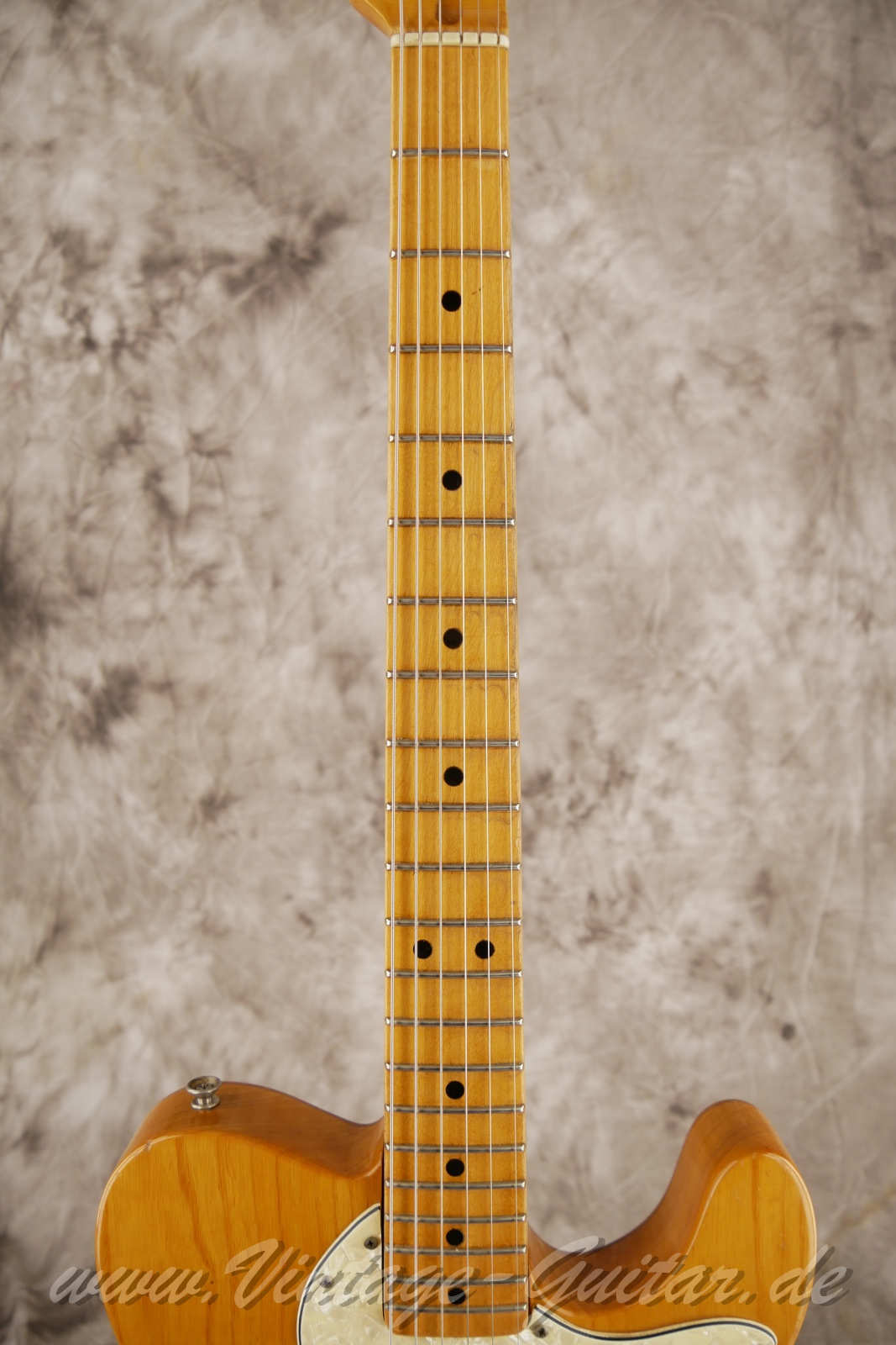 img/vintage/5905/Fender_telecaster_thinline_natural_1969_USA-05.jpg