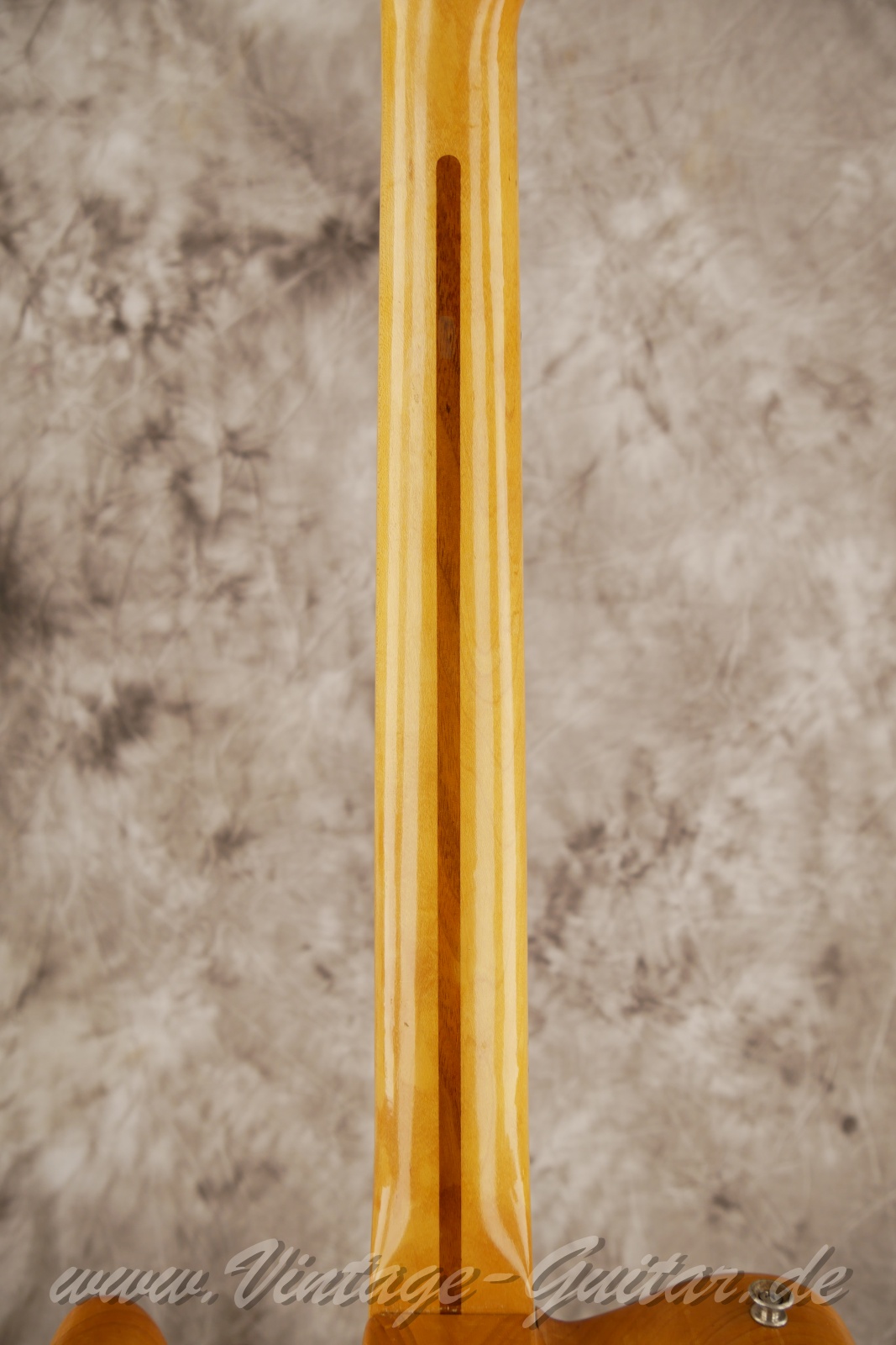 img/vintage/5905/Fender_telecaster_thinline_natural_1969_USA-06.jpg