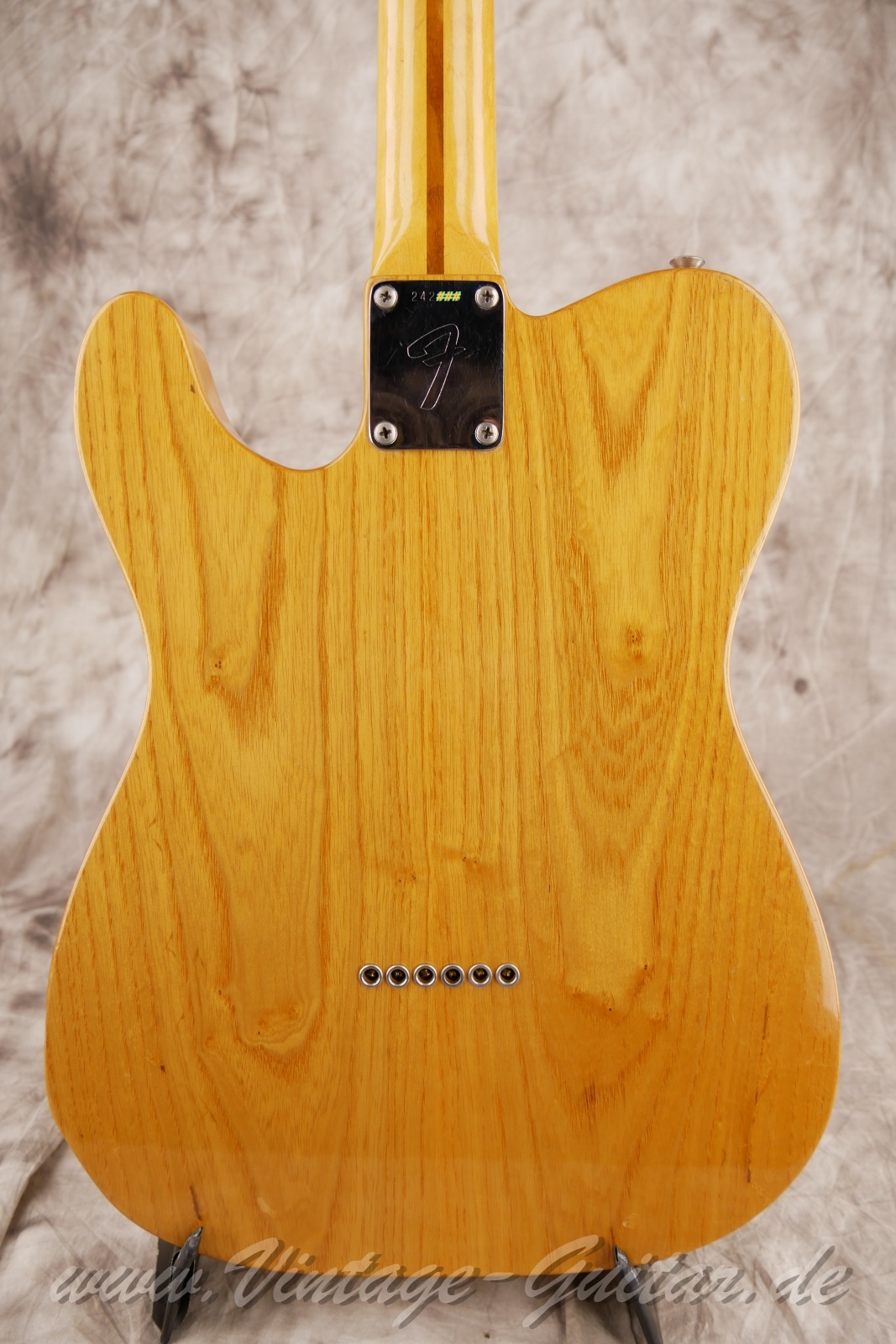 img/vintage/5905/Fender_telecaster_thinline_natural_1969_USA-08.jpg