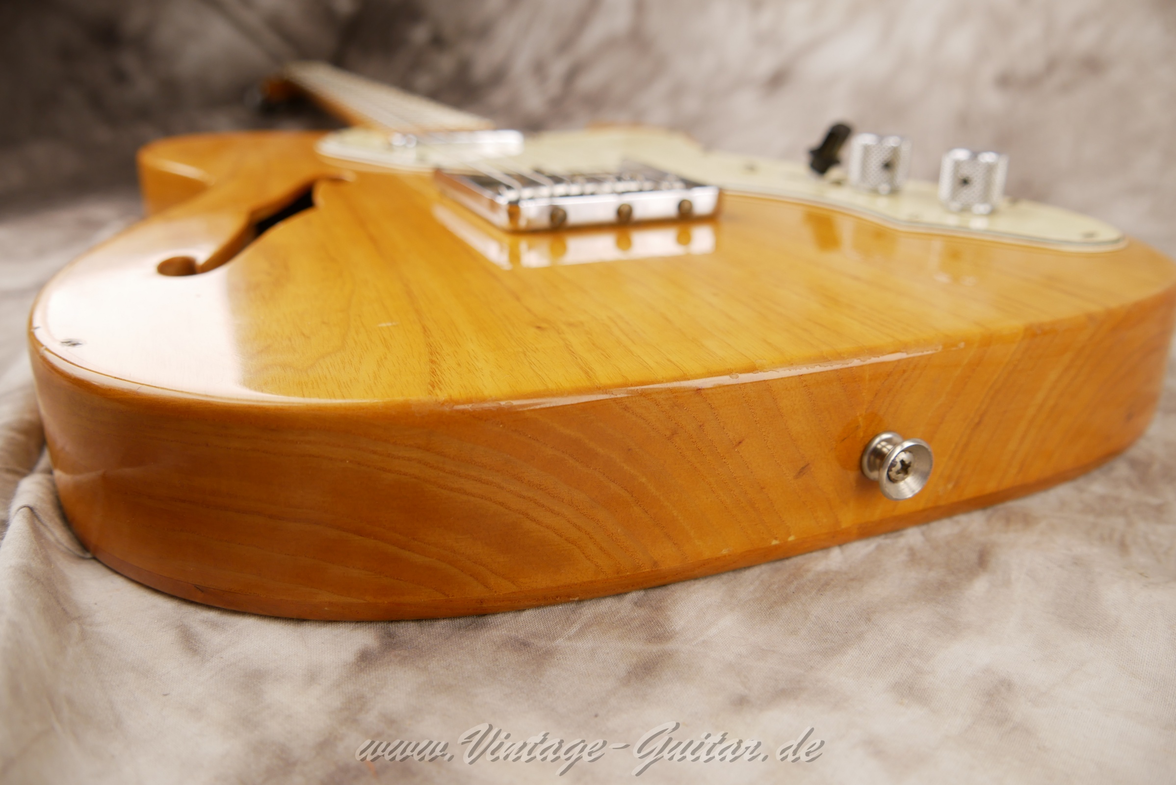 img/vintage/5905/Fender_telecaster_thinline_natural_1969_USA-14.jpg