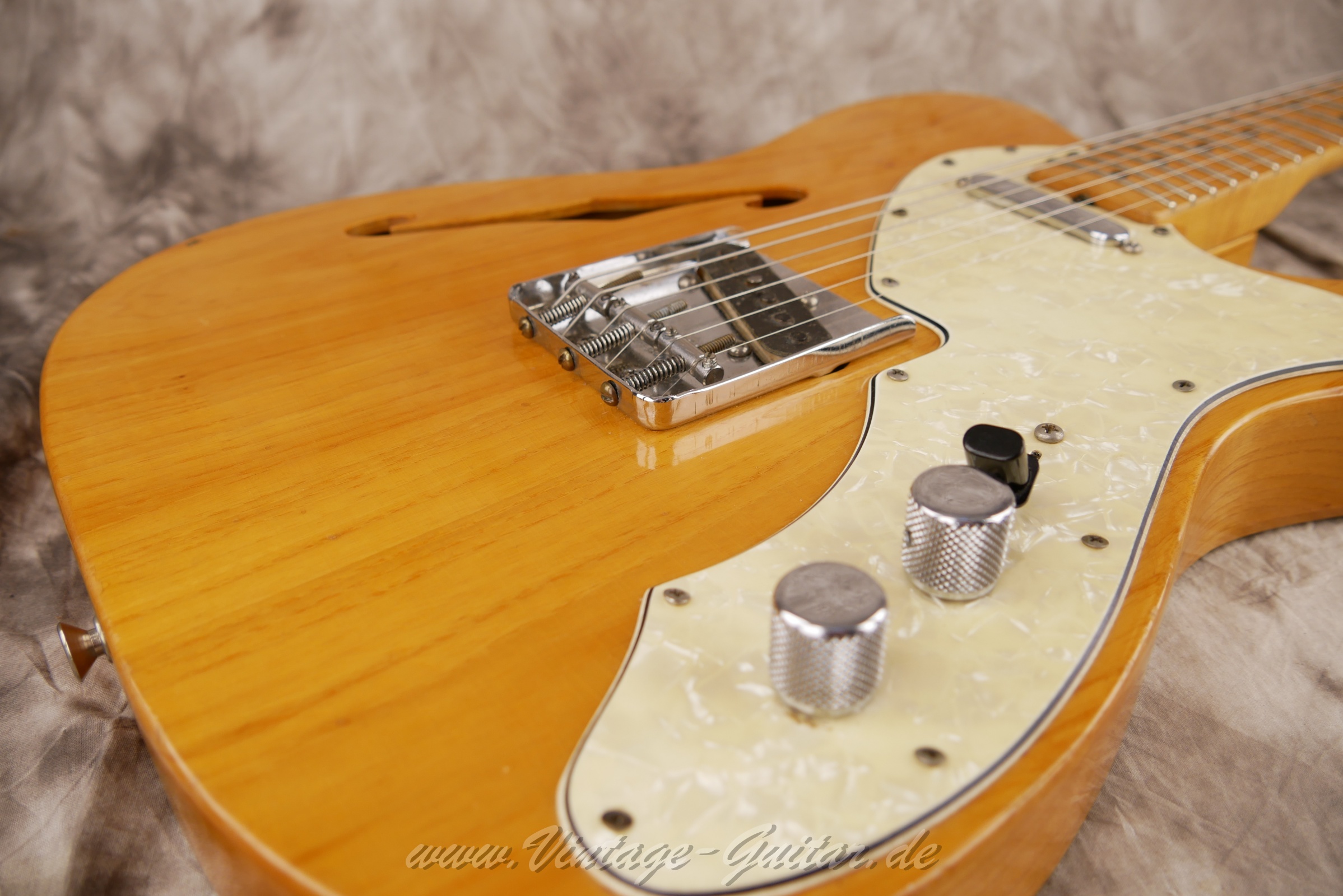 img/vintage/5905/Fender_telecaster_thinline_natural_1969_USA-16.jpg