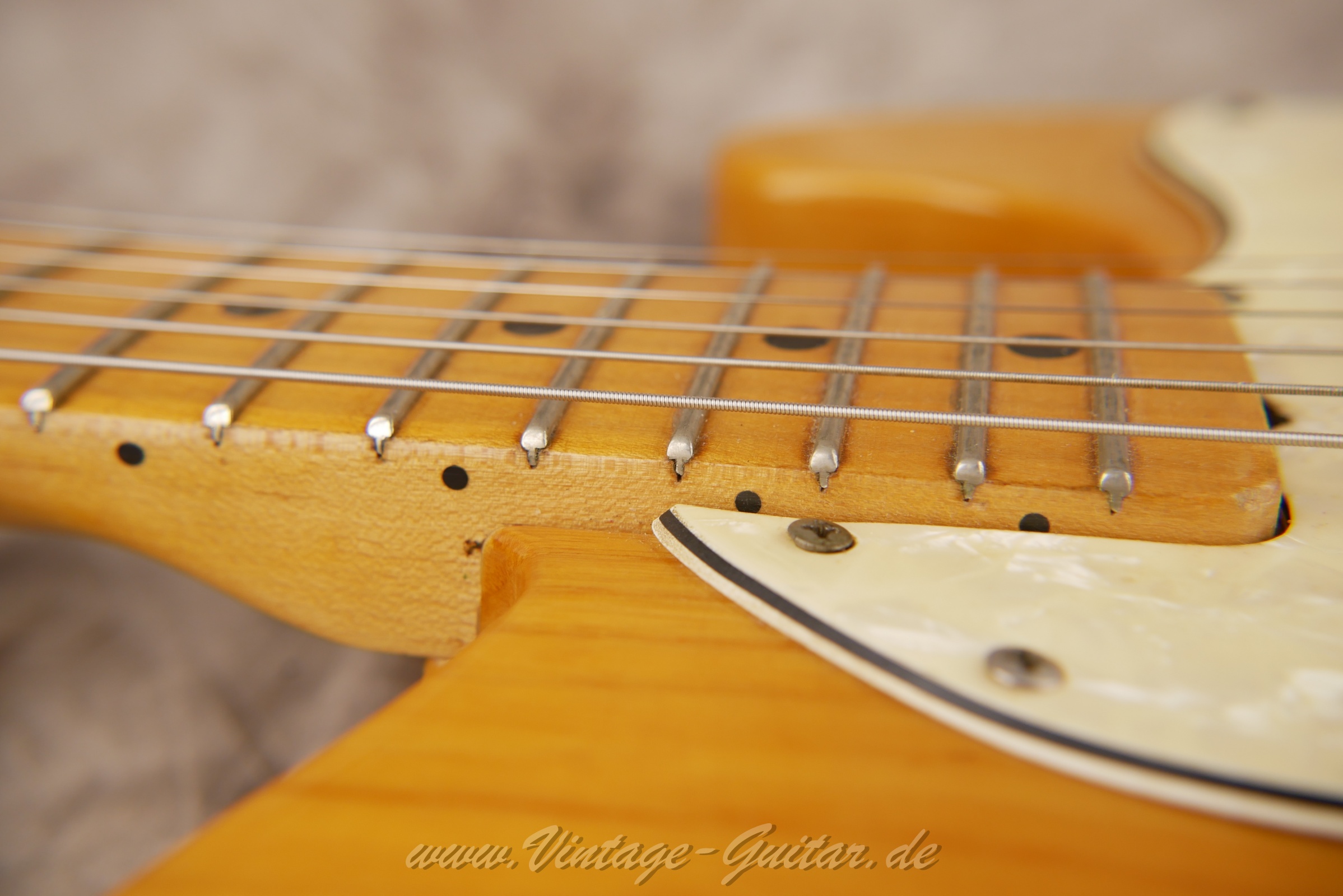 img/vintage/5905/Fender_telecaster_thinline_natural_1969_USA-17.jpg
