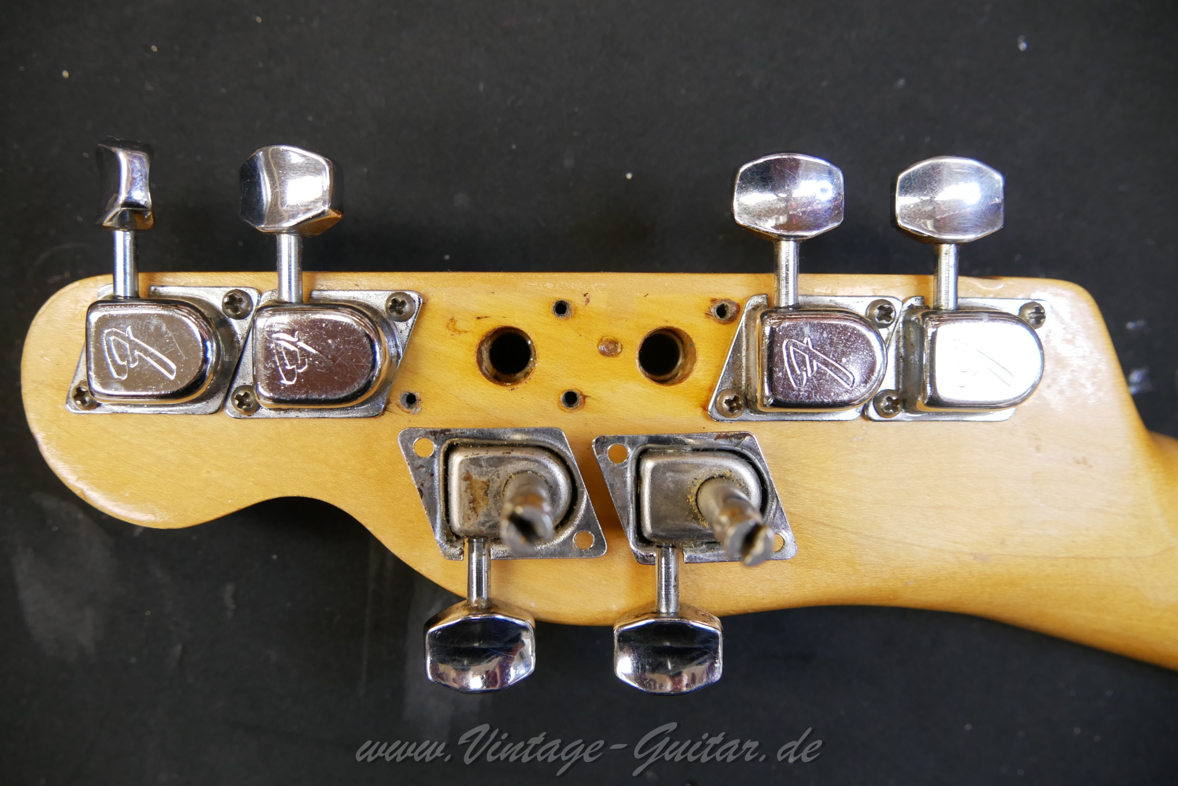 img/vintage/5905/Fender_telecaster_thinline_natural_1969_USA-18.jpg