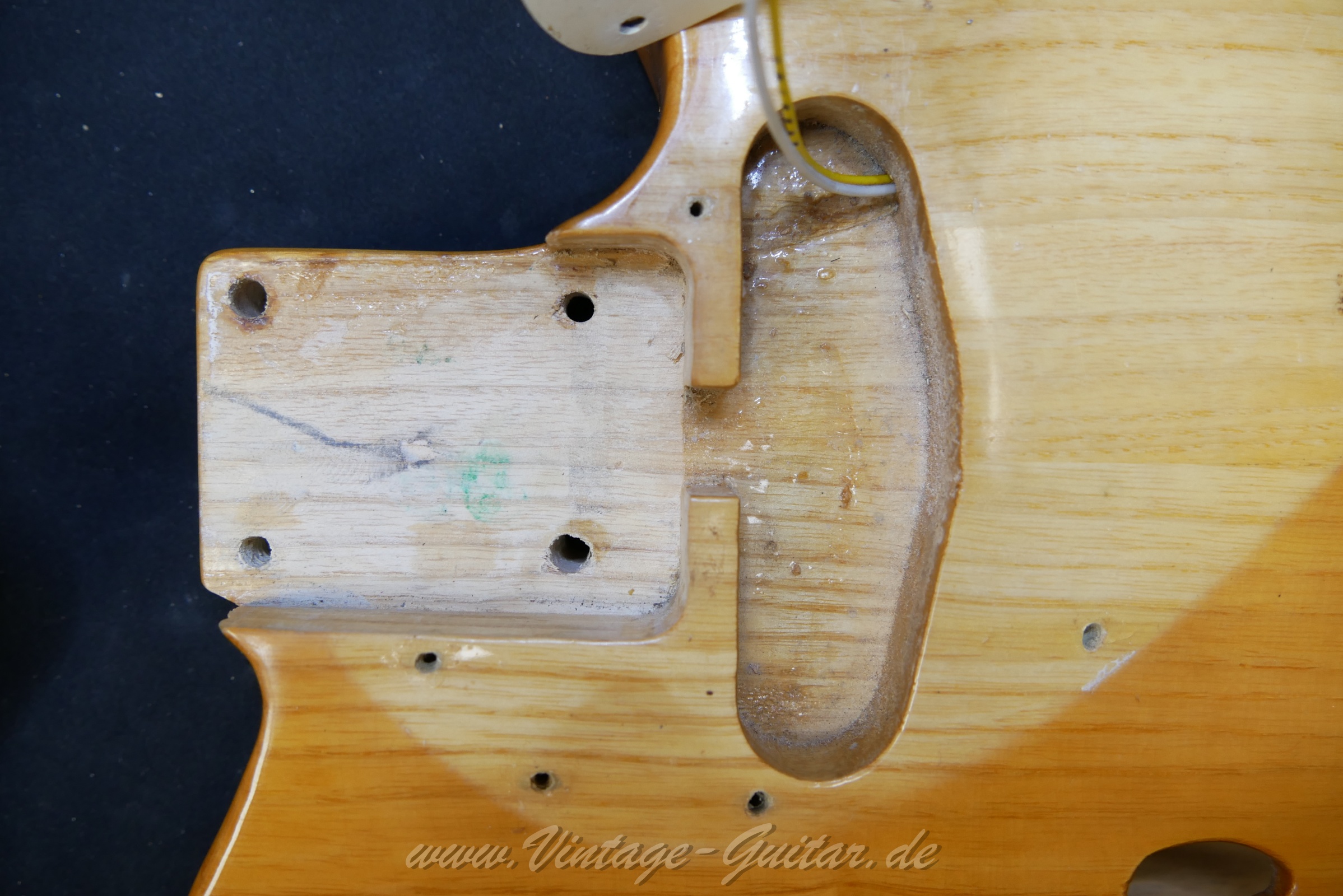 img/vintage/5905/Fender_telecaster_thinline_natural_1969_USA-24.jpg