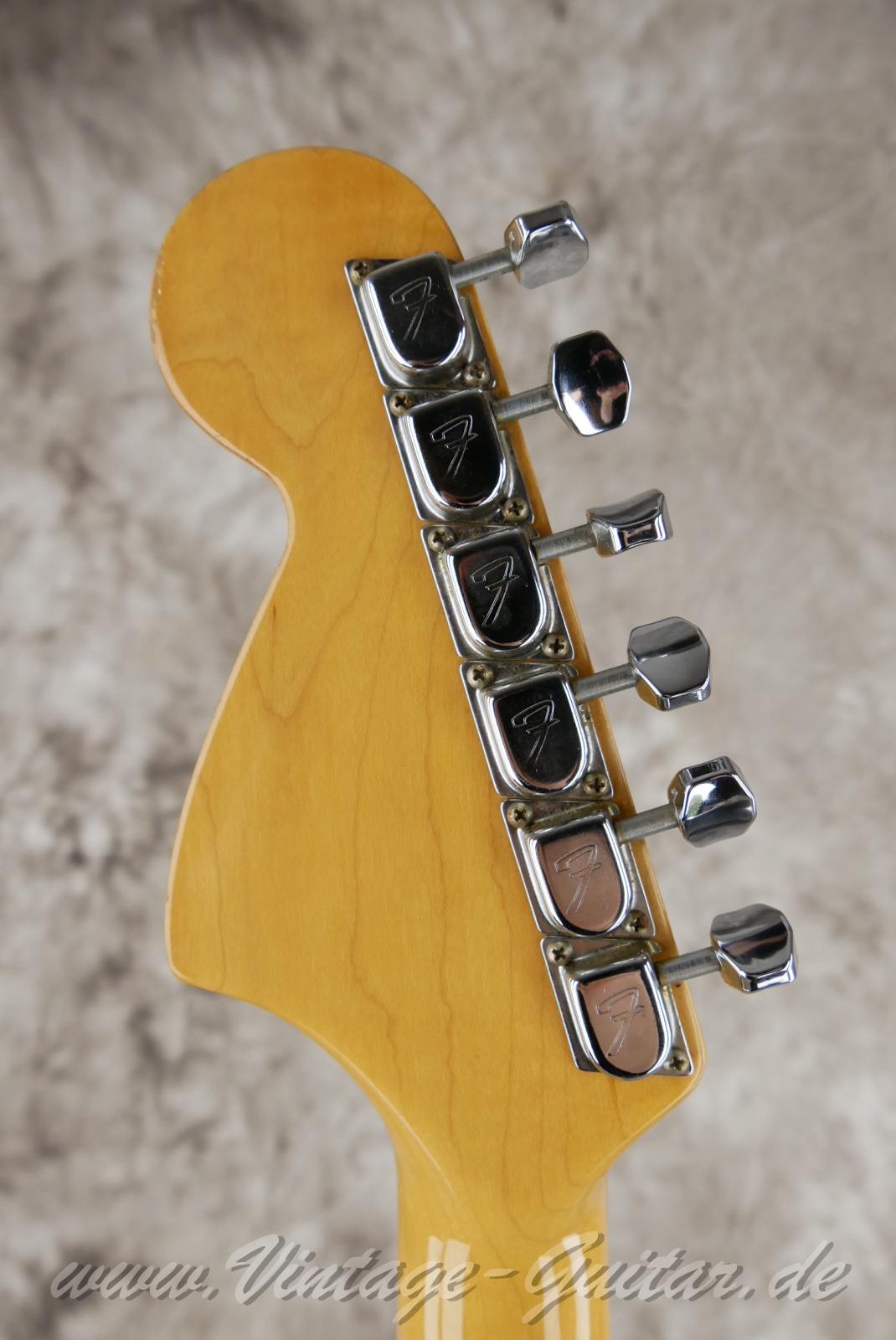 Fender_Stratocaster_Hardtail_1979_Olympic_White_USA-04.jpg