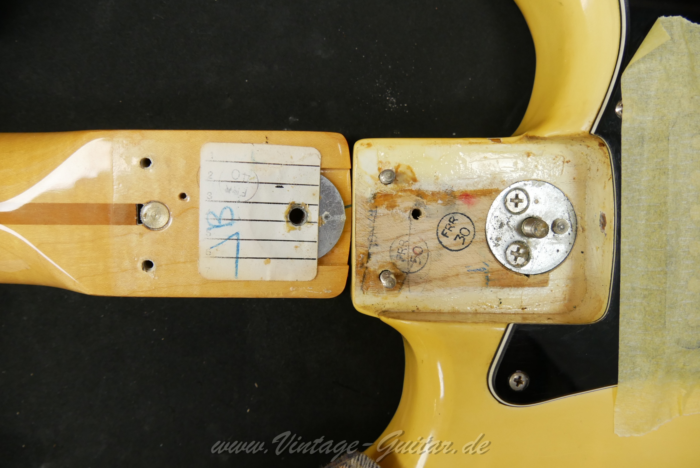 Fender_Stratocaster_Hardtail_1979_Olympic_White_USA-18.jpg