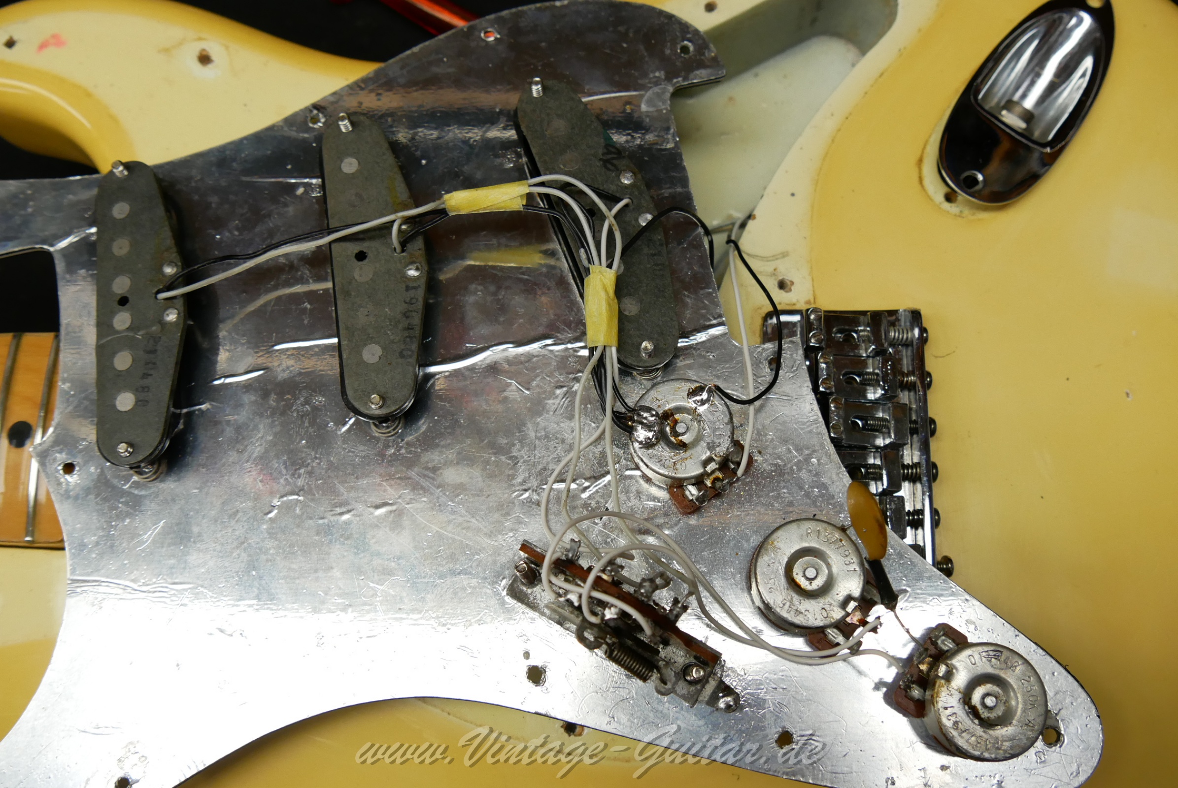 Fender_Stratocaster_Hardtail_1979_Olympic_White_USA-24.jpg