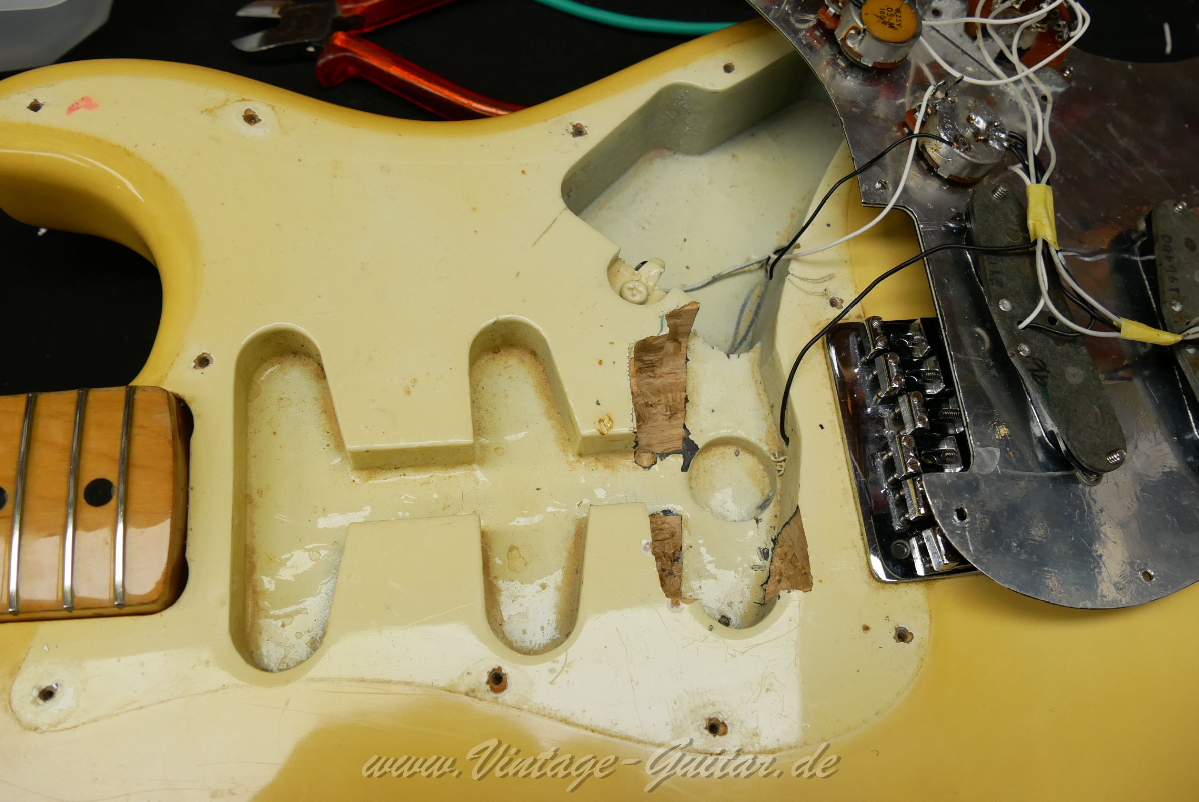 Fender_Stratocaster_Hardtail_1979_Olympic_White_USA-25.jpg