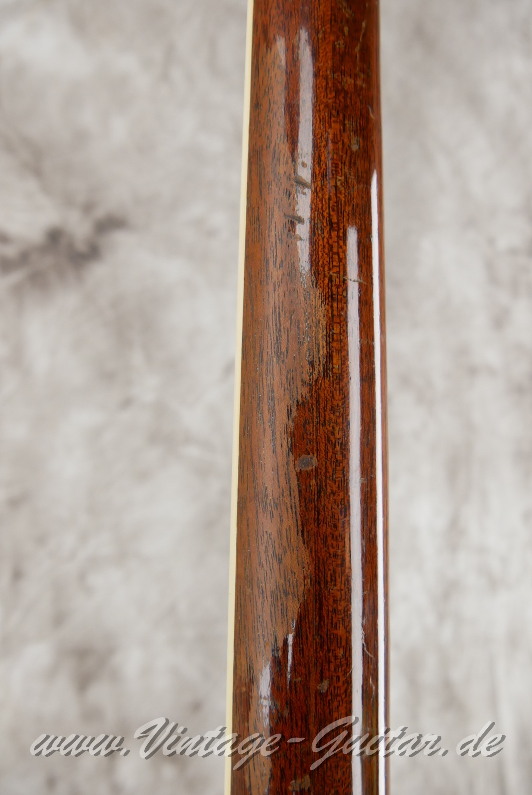 img/vintage/6001/Gibson_SG_Standard_Lyra_cherry_1969-014.JPG