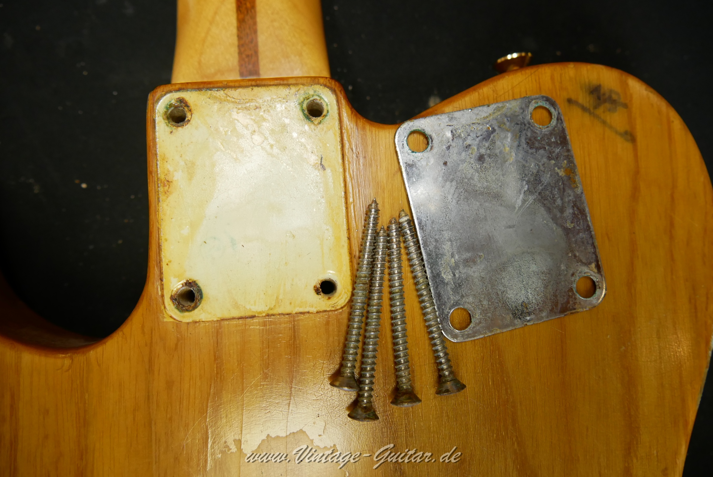 Fender-Telecaster-1969-natural-027.jpg