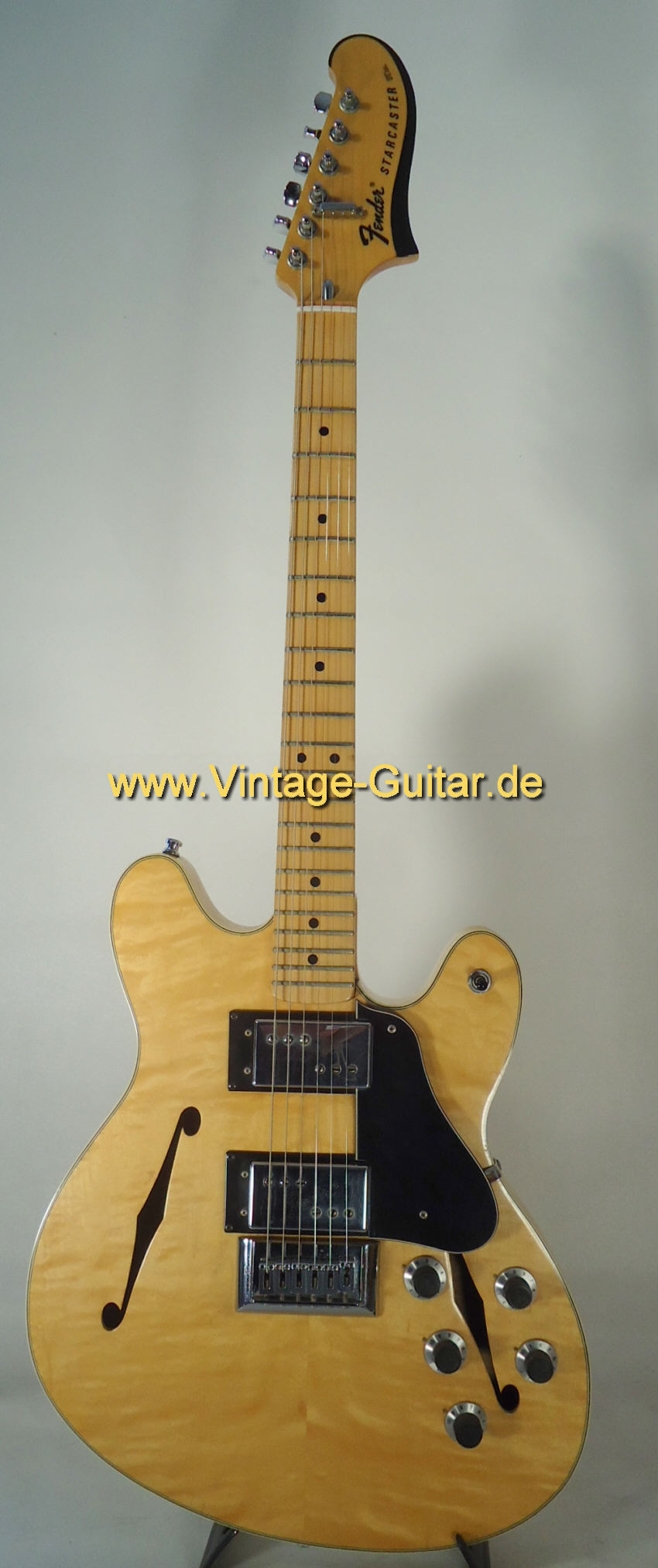 squier starcaster case