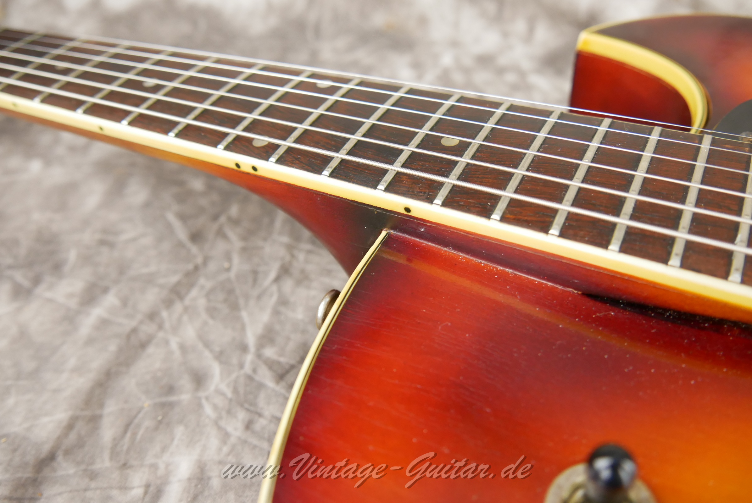 Guild-T100-Slim-Jim-1966-015.JPG