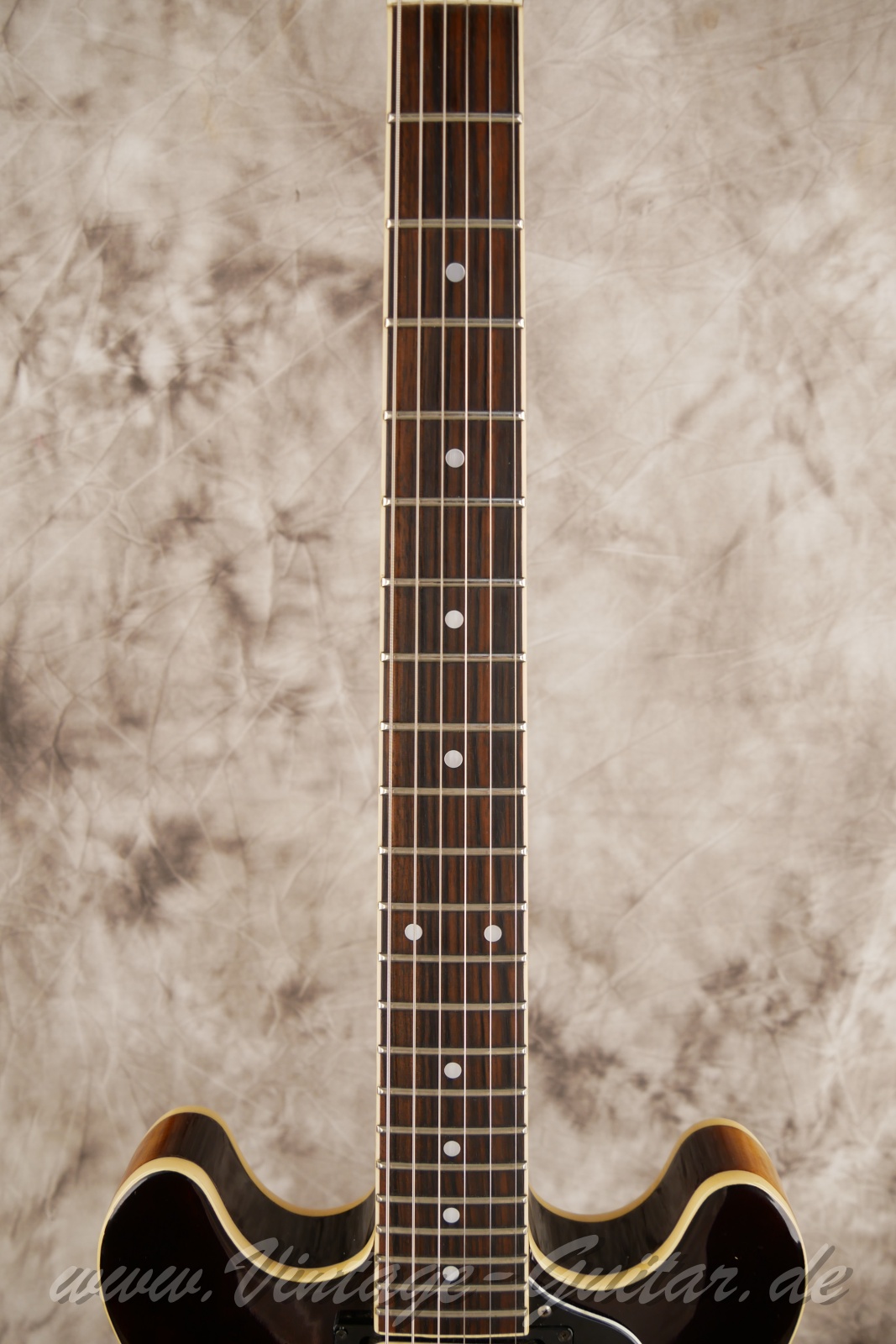 Ibanez-AS-50-1981-Tobaco-Burst-05.jpg