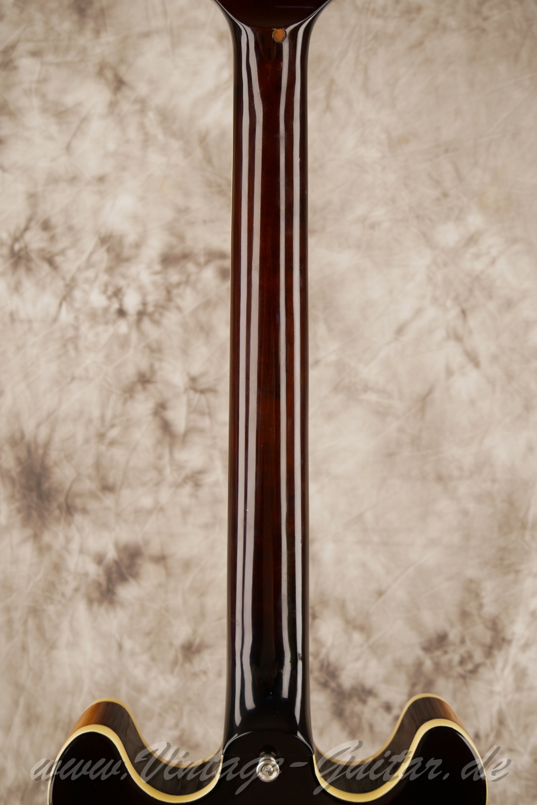 Ibanez-AS-50-1981-Tobaco-Burst-06.jpg