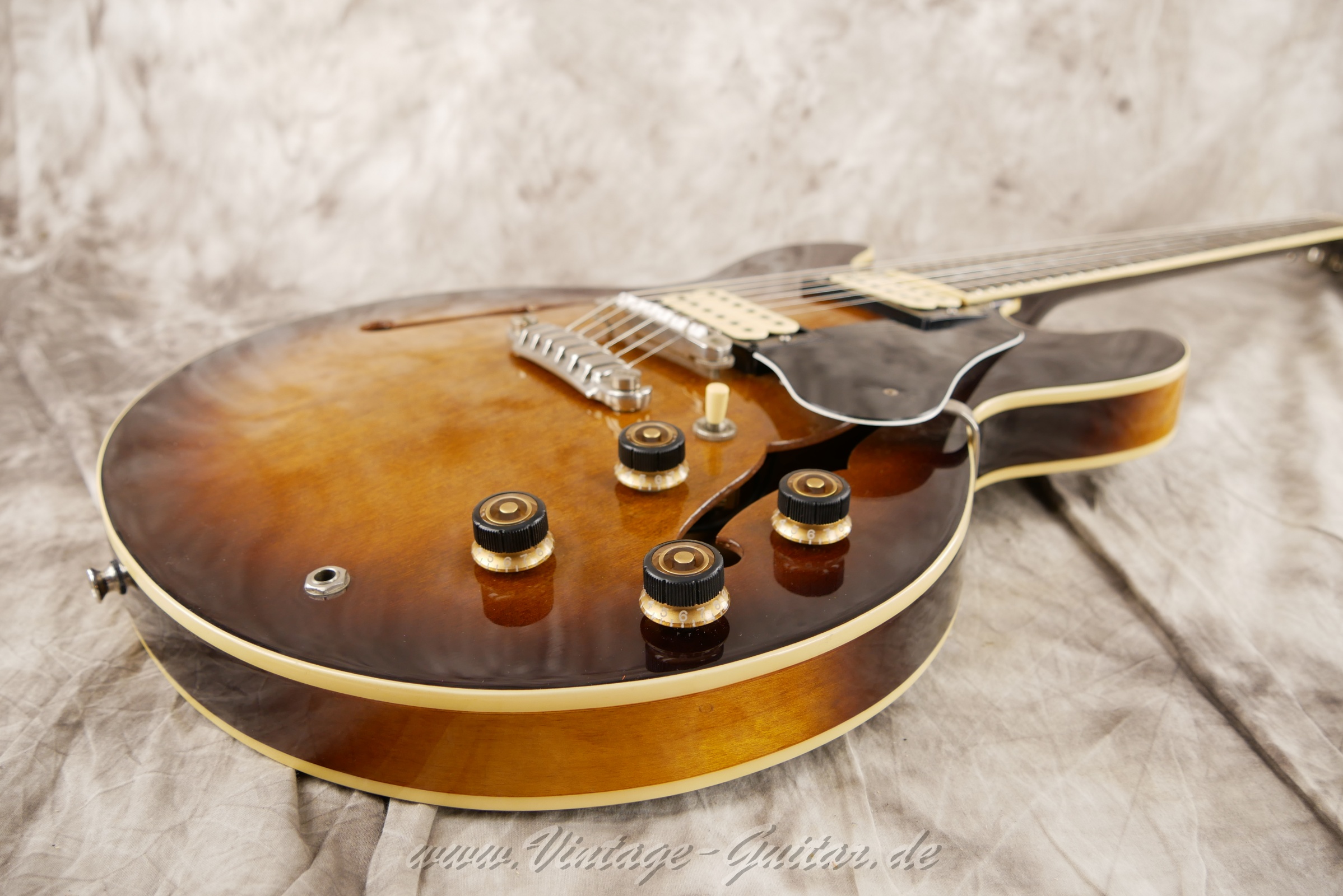 Ibanez-AS-50-1981-Tobaco-Burst-13.jpg