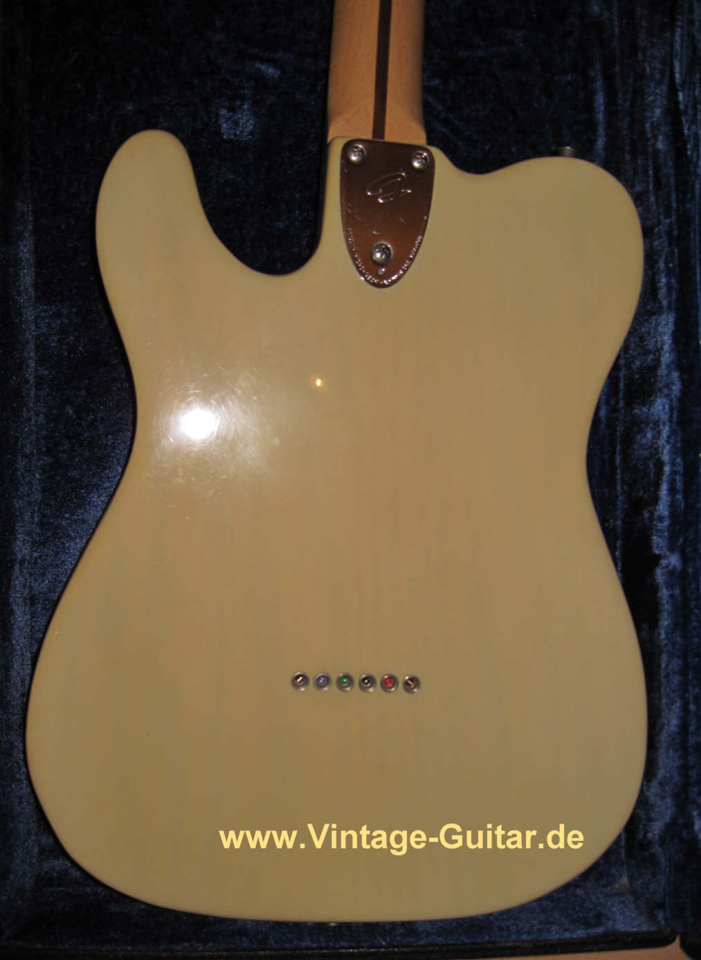 Fender_Telecaster_Thinline_1977_4.jpg