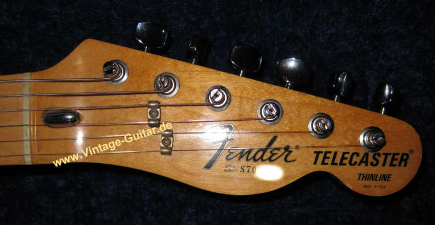 Fender_Telecaster_Thinline_1977_5.jpg