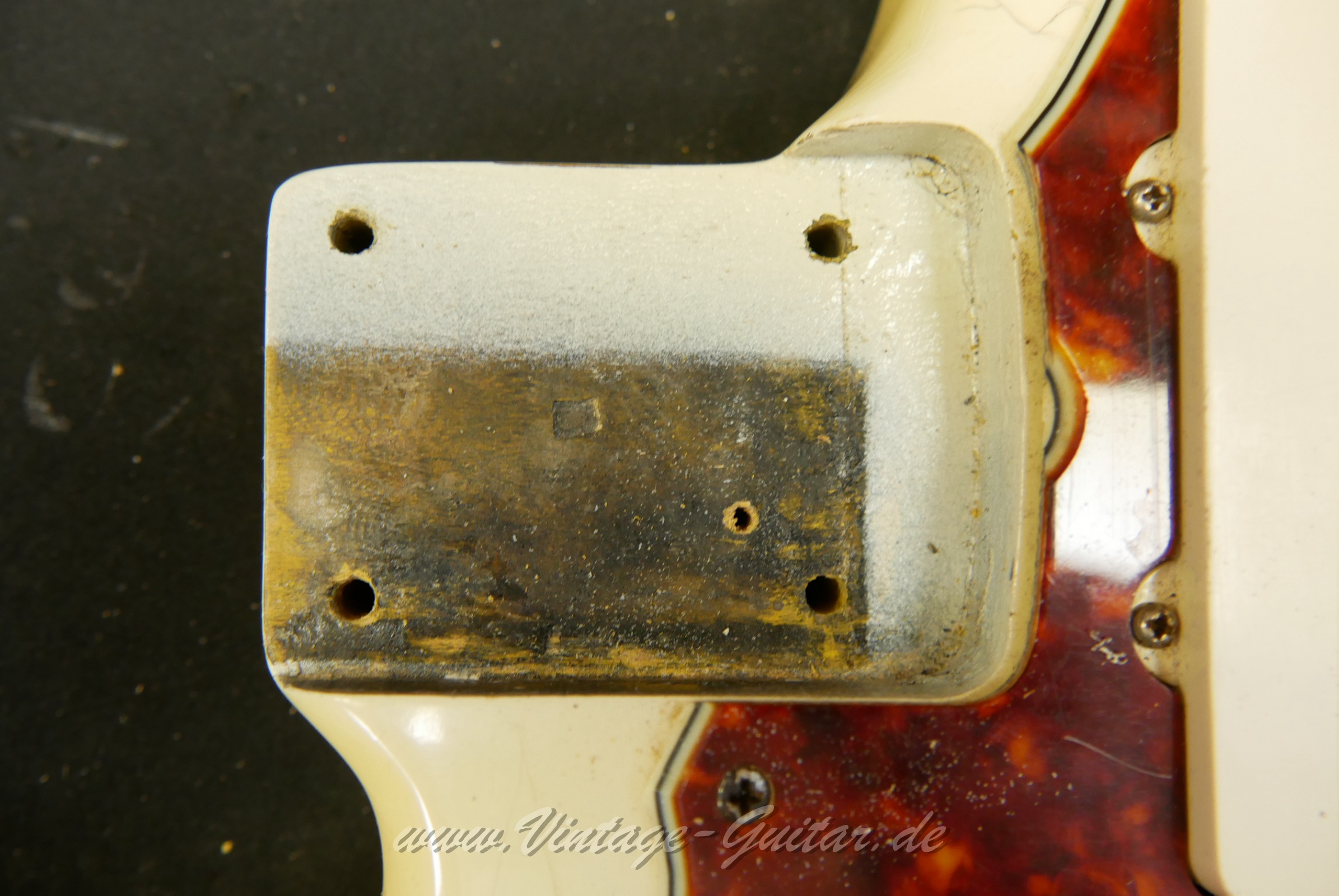 Fender-Jazzmaster-1965-olympic-white-inside-002.JPG