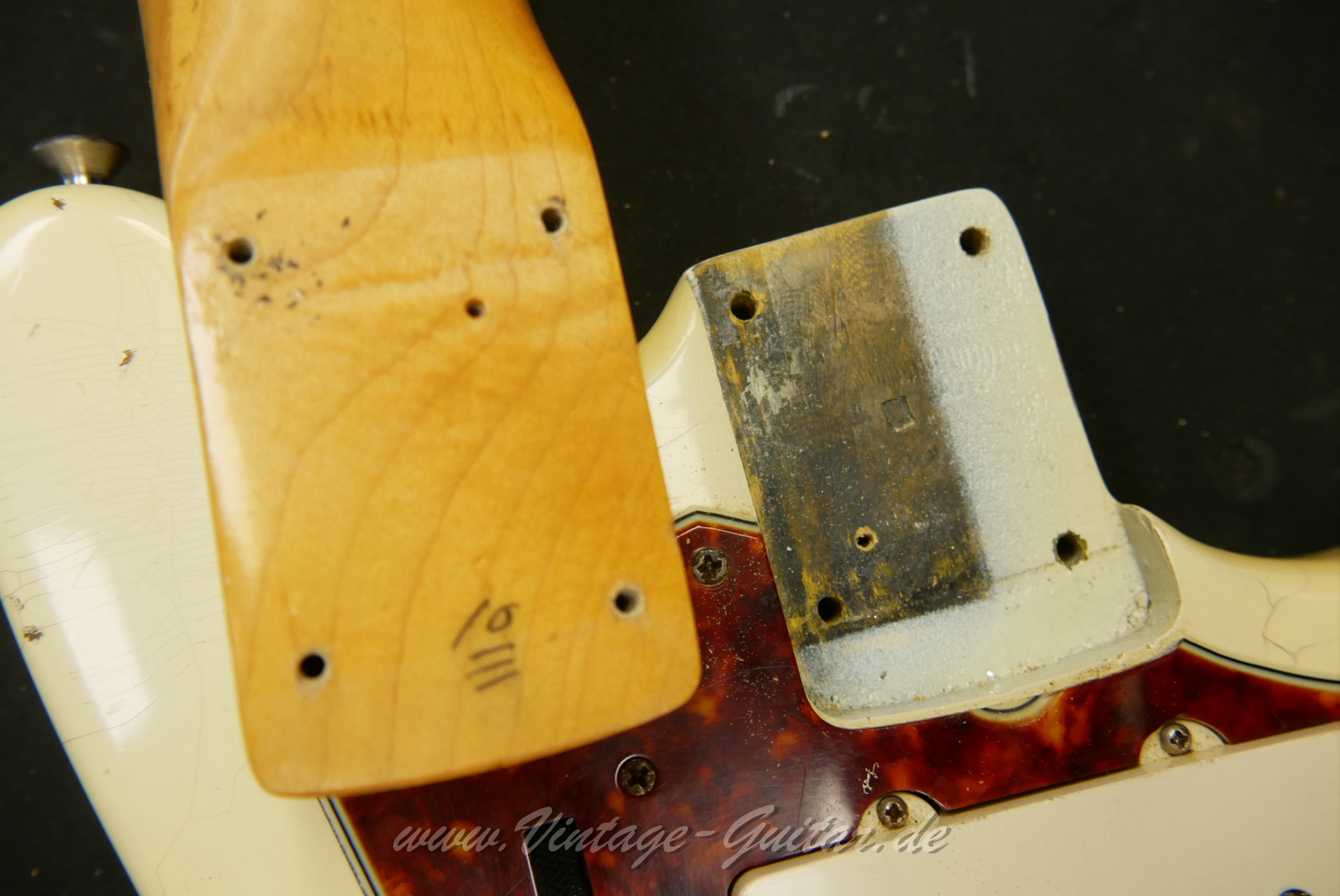 Fender-Jazzmaster-1965-olympic-white-inside-003.JPG