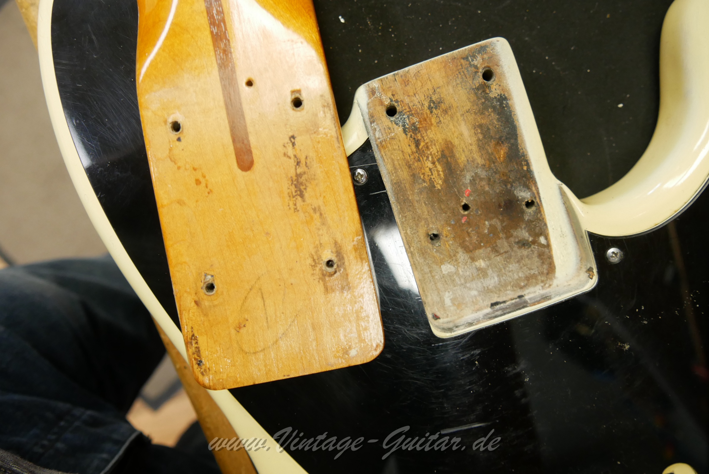 Fender-Precision-Bass-1956-Bob-Daisley-039.JPG
