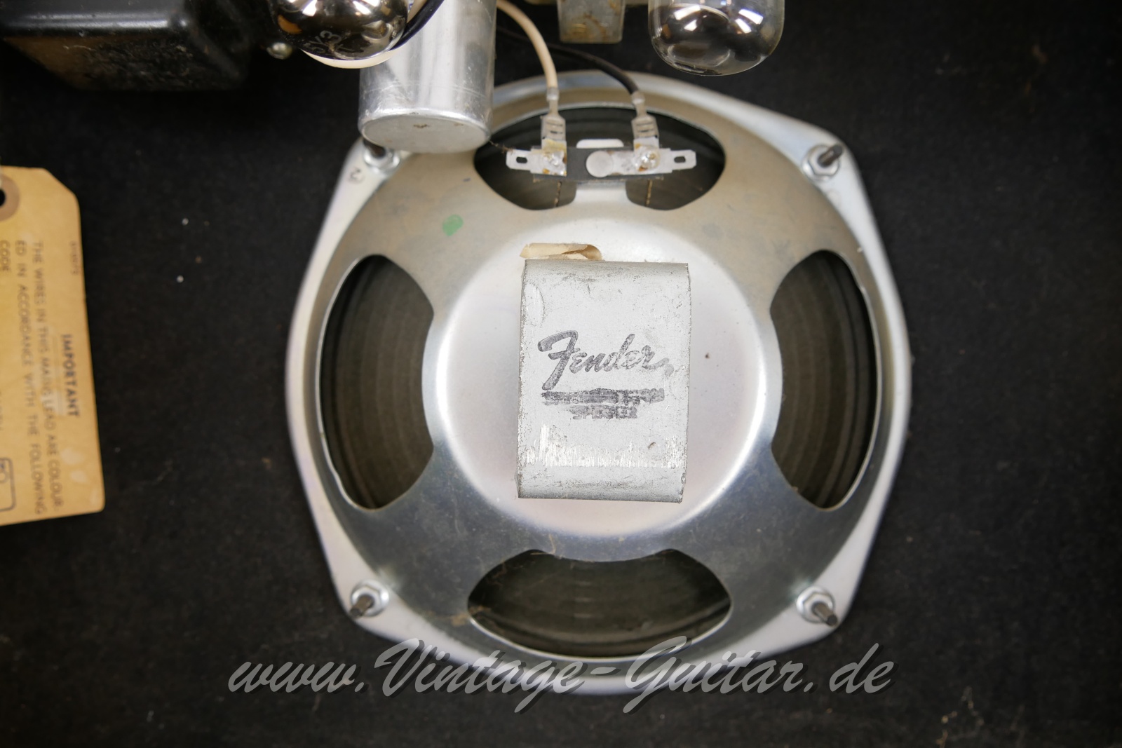 Fender_Vibro_Champ_silverface_1977-009.JPG