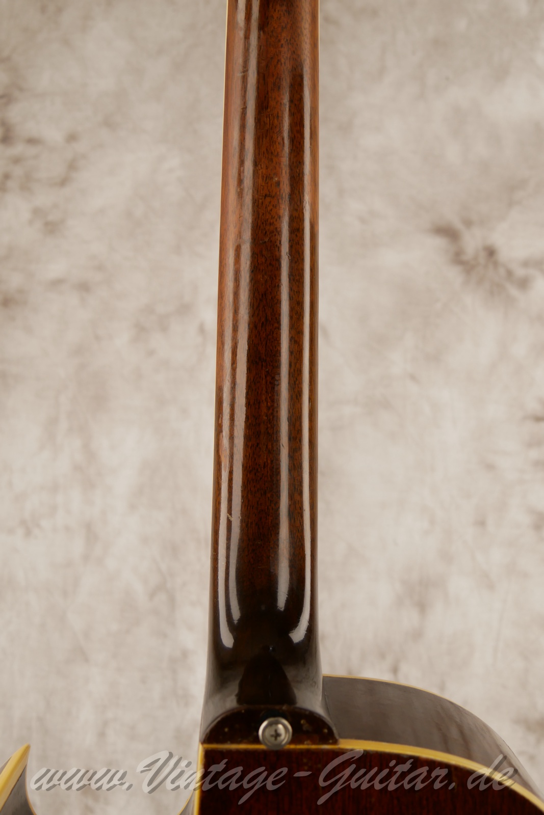 img/vintage/6523/Gibson_CF-100_Sunburst_1950-007.jpg