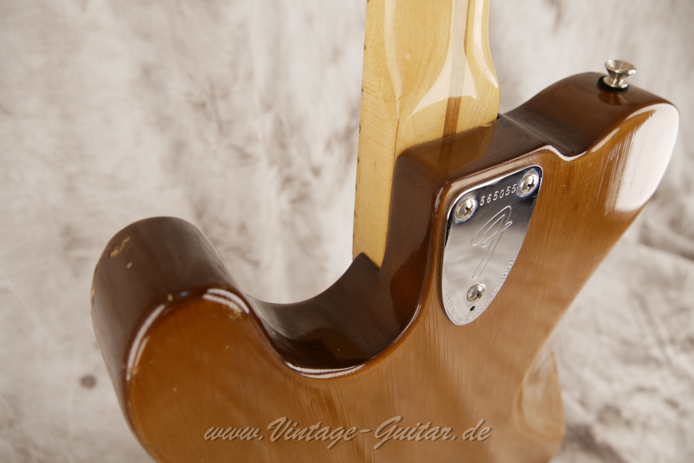 Fender-Telecaster-Deluxe-1974-moccha-009.JPG
