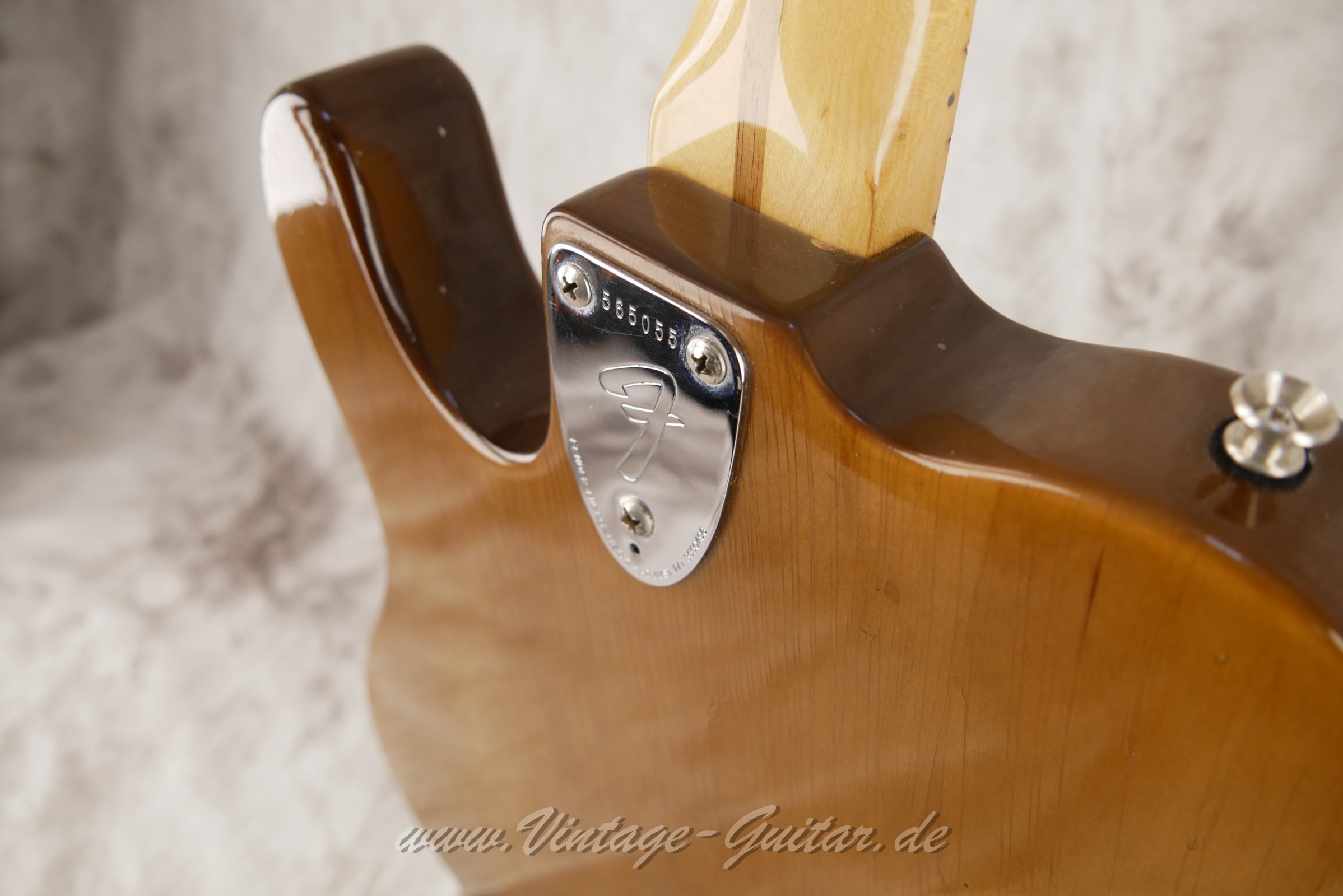 Fender-Telecaster-Deluxe-1974-moccha-010.JPG