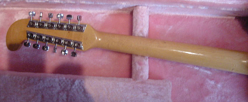 Fender_Electric_12_5.jpg