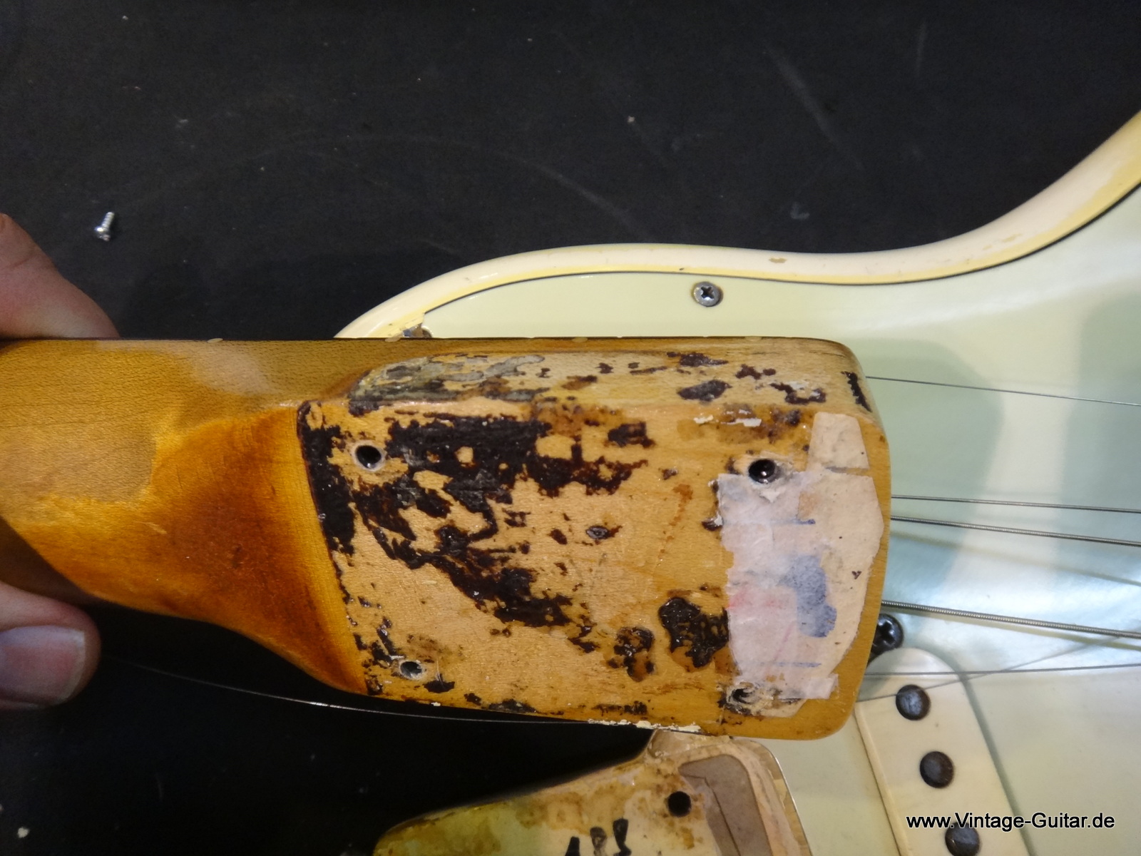 Fender_Stratocaster-1962_blond-015.JPG