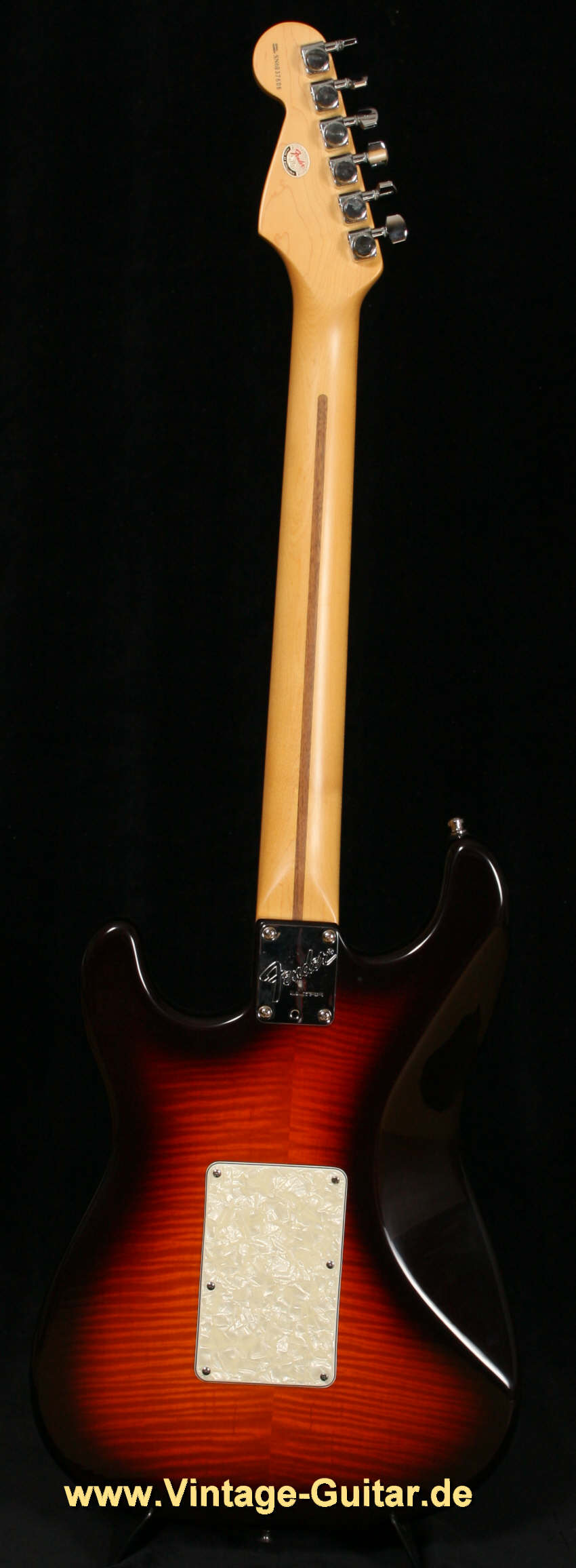 Fender_Stratocaster_Ultra_Plus-2.jpg