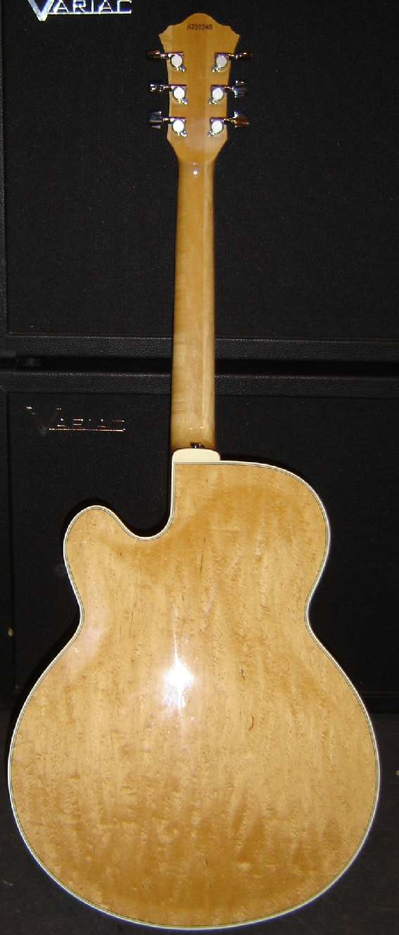 Ibanez FG 100